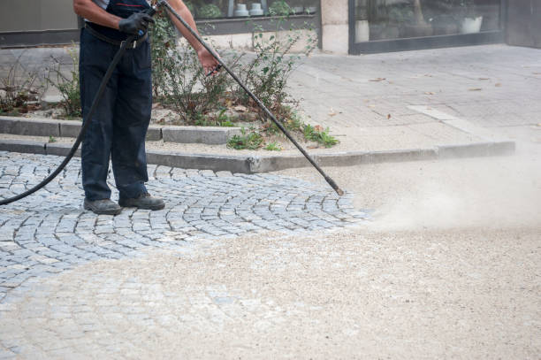 Best Driveway Pressure Washing  in Palm River Clair Mel, FL