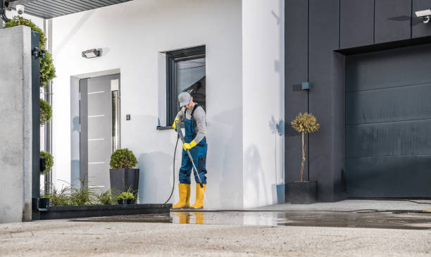Best Dumpster Area Cleaning  in Palm River Clair Mel, FL